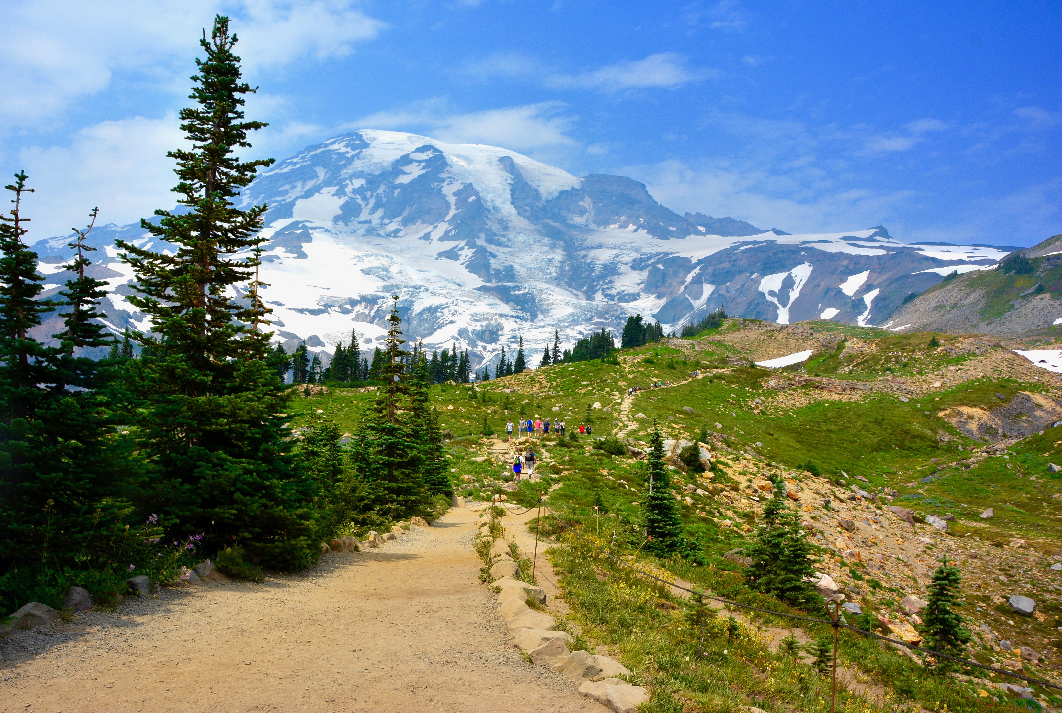 Mt. Rainier Trail