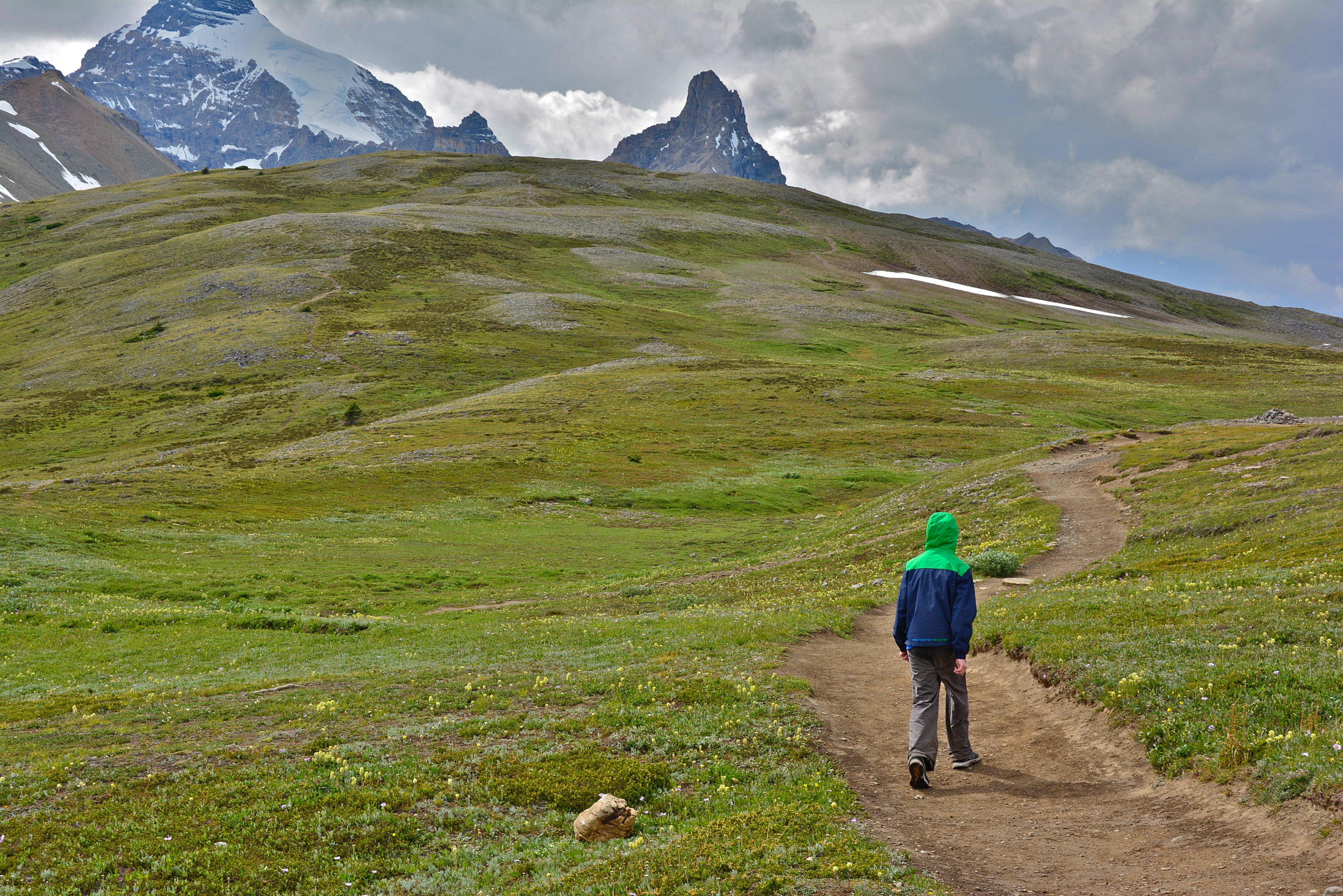 Exploring a meadow above the tree line. The young hiker is my son Alan.